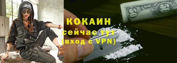СК Богородск