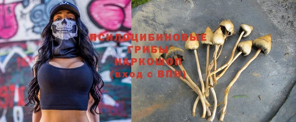 тгк Богданович